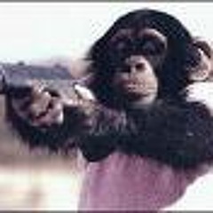 Thats all you had to say__astrochimp1__