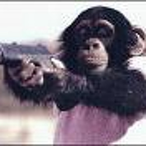 Thats all you had to say__astrochimp1__