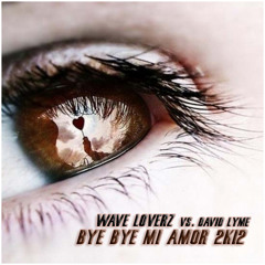 Wave Loverz vs. David Lyme - Bye Bye Mi Amor 2K12 (Cover Radio Edit)