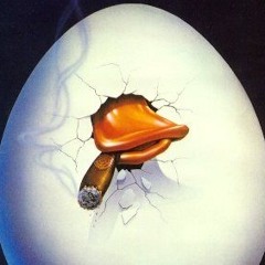 DistoNN - I Don't Trust you