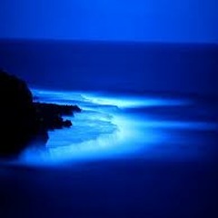 Elictric Night