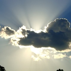 Apenas Mais Uma de Rock