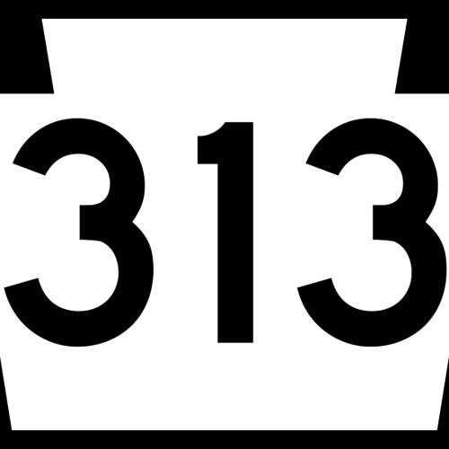 Neurotricity - 313