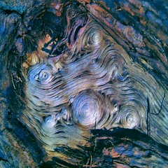 Driftwood Days    (wk50/52)