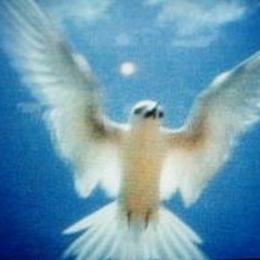 Skyarcher - Wunderlust by MaryaStark