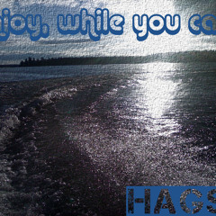 Enjoy, while you can - 2011