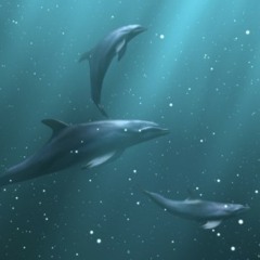 Tech-neek - dolphin's depth 320
