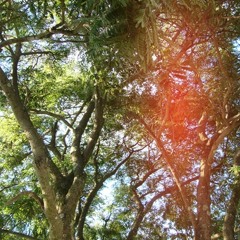 Todas São Para Você