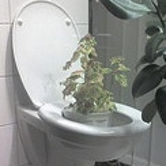 Man sollte einmal (1988)