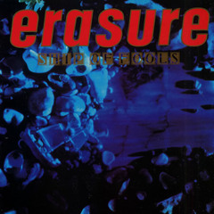 Erasure-A Little Respect (sKourge cover)