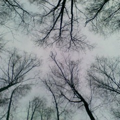 red alder - visions of la (slowdive cover)