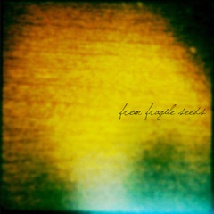 Where Your Anchors Sleep