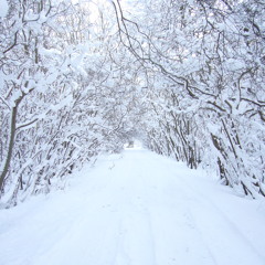 I'll Find My Way Home