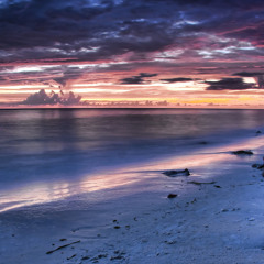 Icephoenix~Trance/Electronica