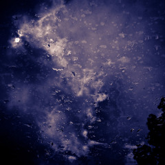 Nightbook
