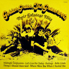 "Things I Should Have Said" - The Grass Roots (vinyl)