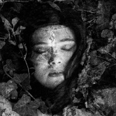 DIE FORM - Sleeping Body Under Water