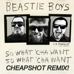 Beastie Boys - So Whatcha Want (Cheapshot Remix)