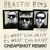 Artwork for Beastie Boys - So Whatcha Want (Cheapshot Remix)