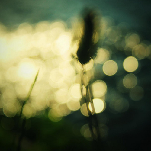 Rhian Sheehan - Whispering Goodbye