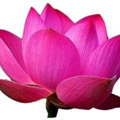 Title 06 บทสวดมนต์ประกอบเพลงบรรเลง (สัพพะพุทธานุภาเวนะ , สัพเพ สัตตา..)