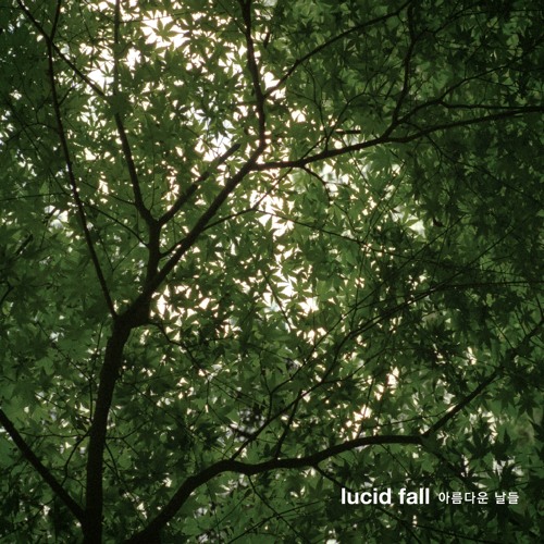 Lucid Fall