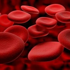 Pendulum - Blood Sugar (ViperXXL RMX) FREE DL