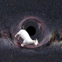 Supermassive Black Goat