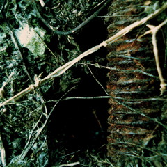 siberut [Old Vinyl Mix]