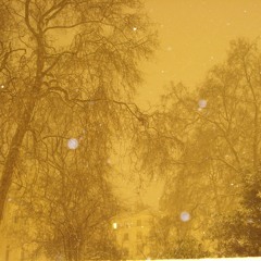 Midnight Walk