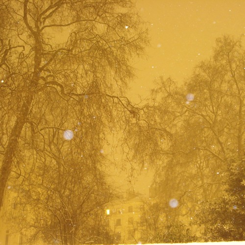 Midnight Walk