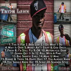 TRYPHLAWN - BRIM LOW