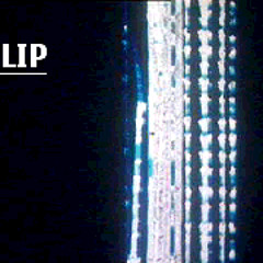 Bright Nights, Dark Days