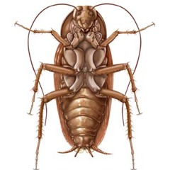 Drinking class latest