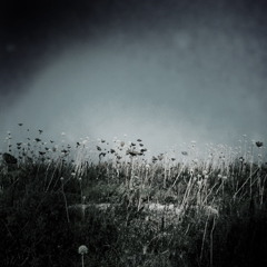 music for dance-theater