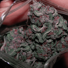 John Skeng - High Grade Chronic