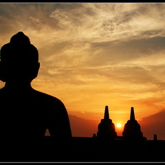 No Sleep Until Sunrise