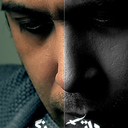Mohsen Chavoshi - Deltang