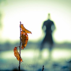 Please, Please, Please Let Me Get What I Want (cover)