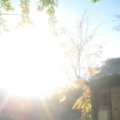 I Will Always Feel This Way