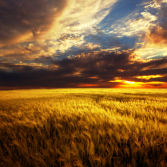 Mat Zo & Arty - Mozart (Mike Ocean Remix)