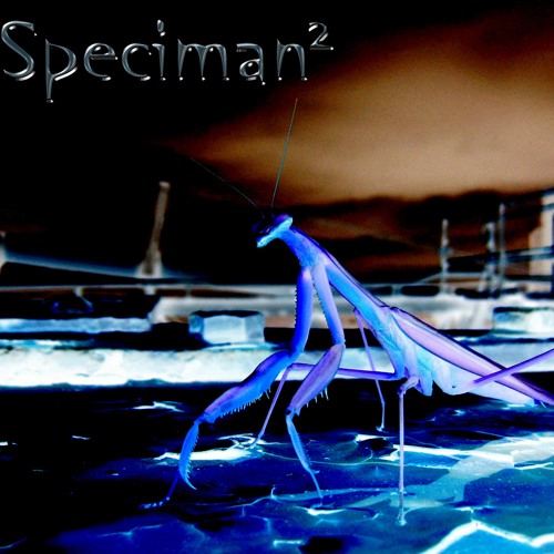 Speciman² - Creepy Crawly