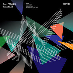 DC89B - Sam Paganini - Self Control