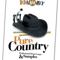 Speed of Lonely Jack: Pure Country IV Nashville Brushes Demo