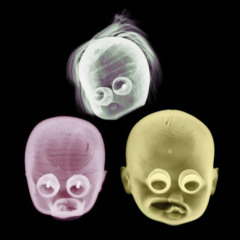 Two Minutes' Hate [demo]