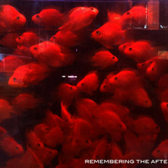 remembering the afternoon