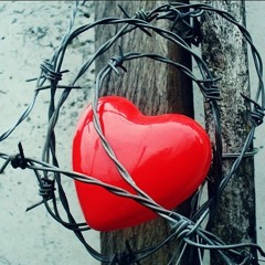 Aati hai raat odhe hue dard ka kafan