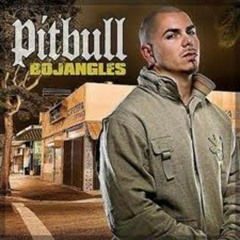 Pitbull ft Lil Jon & Ying Yang Twins - Bojangles(remix dz.ony)