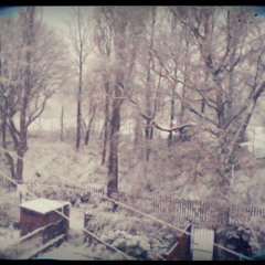Winter Whispers