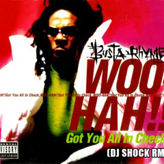 Busta Rhymes - Woo Hah!! Got You All in Check (DJ Shock Rmx)